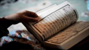 جماليات علم مقارنة السور والمتشابهات في القرآن الكريم