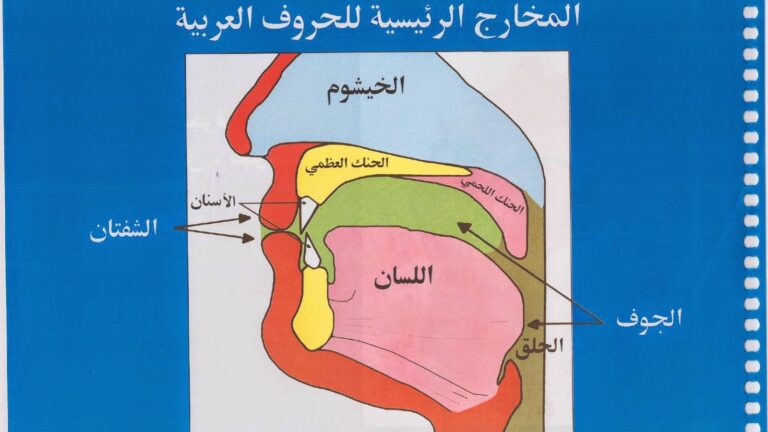 مخارج الحروف: بوابة المسلم لإتقان التلاوة